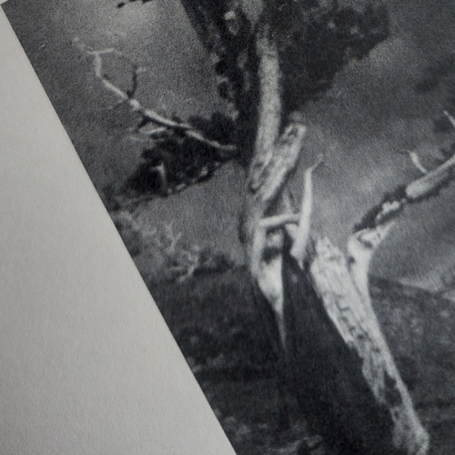 Fragmento de la portada del zine en el que se ve el título y una fotografía